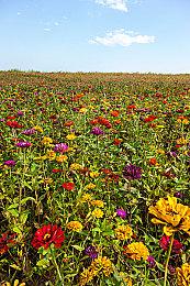 《紫塞秋风》新修版精美截图欣赏 环境氛围到位